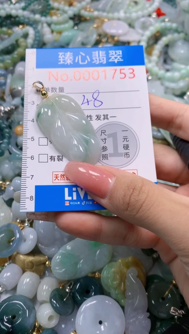 翡翠未镶嵌颈饰1753