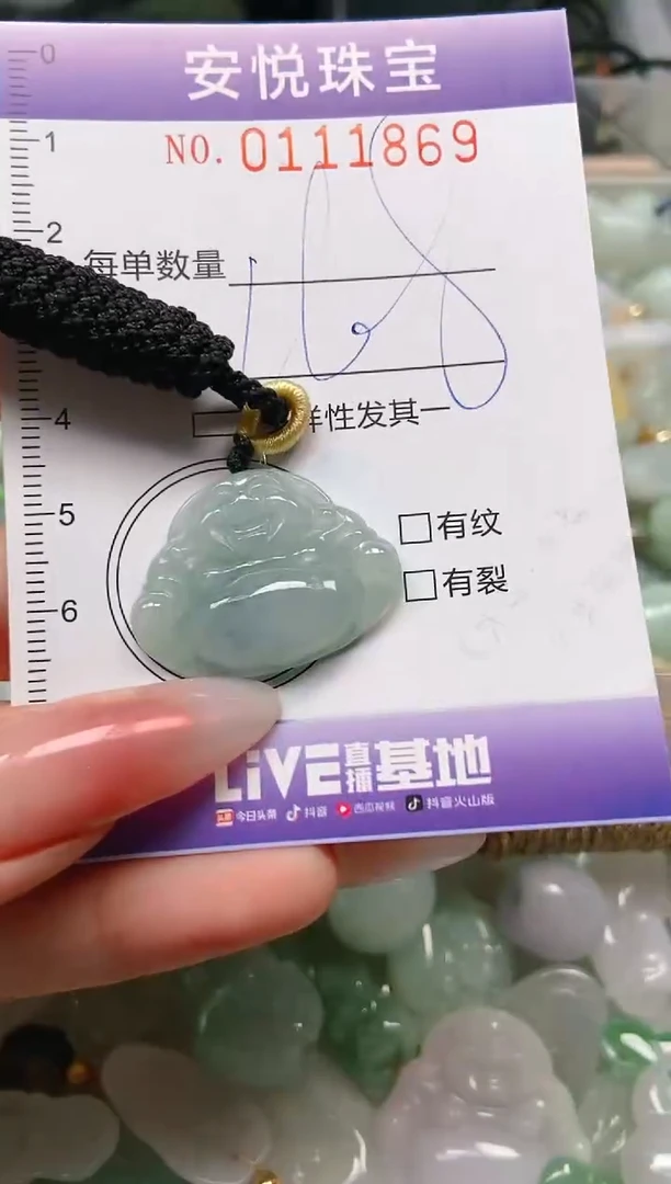 【闪购商品】翡翠颈饰未镶嵌闪购0111869