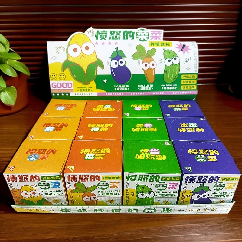 愤怒的菜菜盆栽种植科学实验