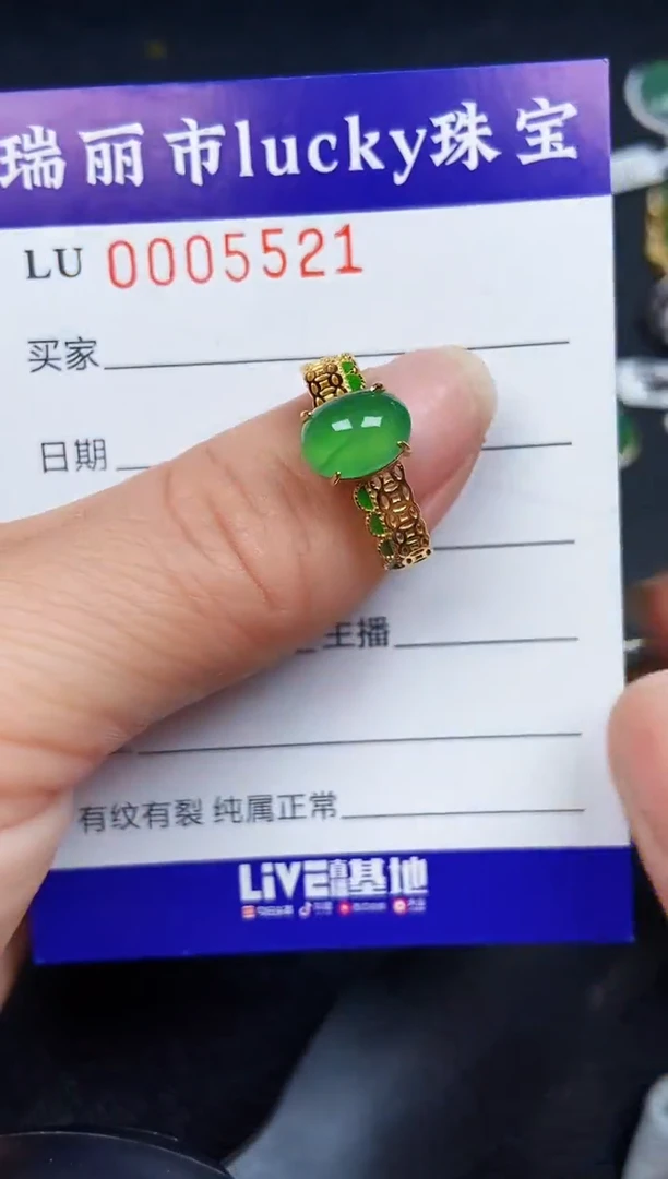 翡翠银S925镶嵌颈饰5521