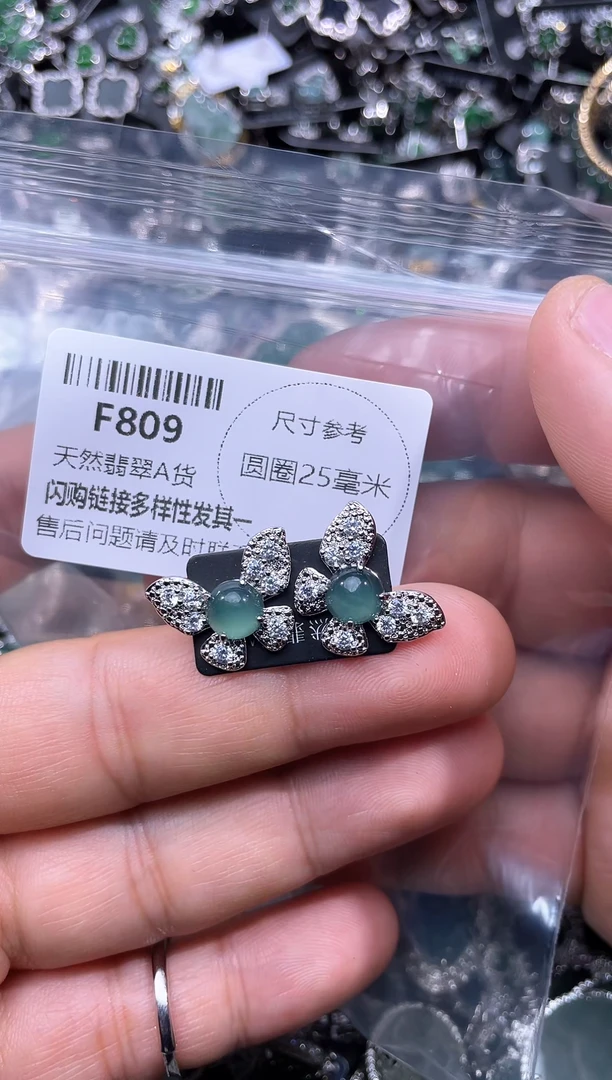 【闪购商品】翡翠颈饰未镶嵌F809耳钉