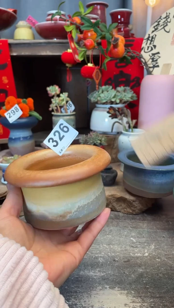 【闪购商品】摆件326知木小芳花盆