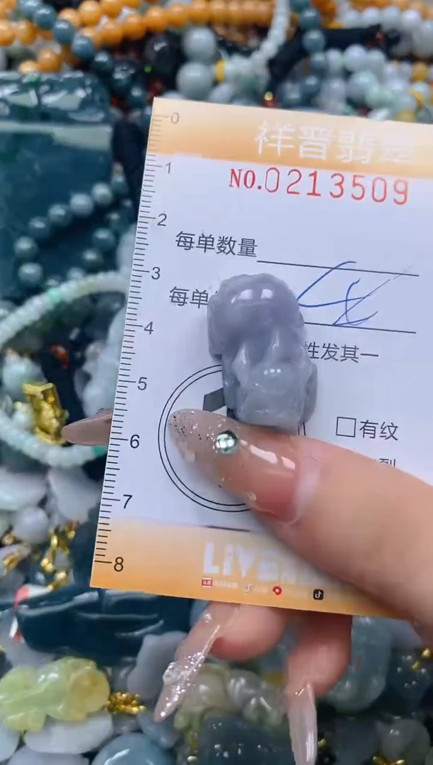 翡翠未镶嵌颈饰闪购0213509