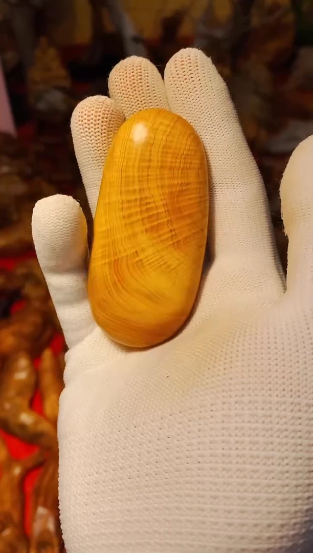 【闪购商品】柏木23崖柏崖柏崖柏