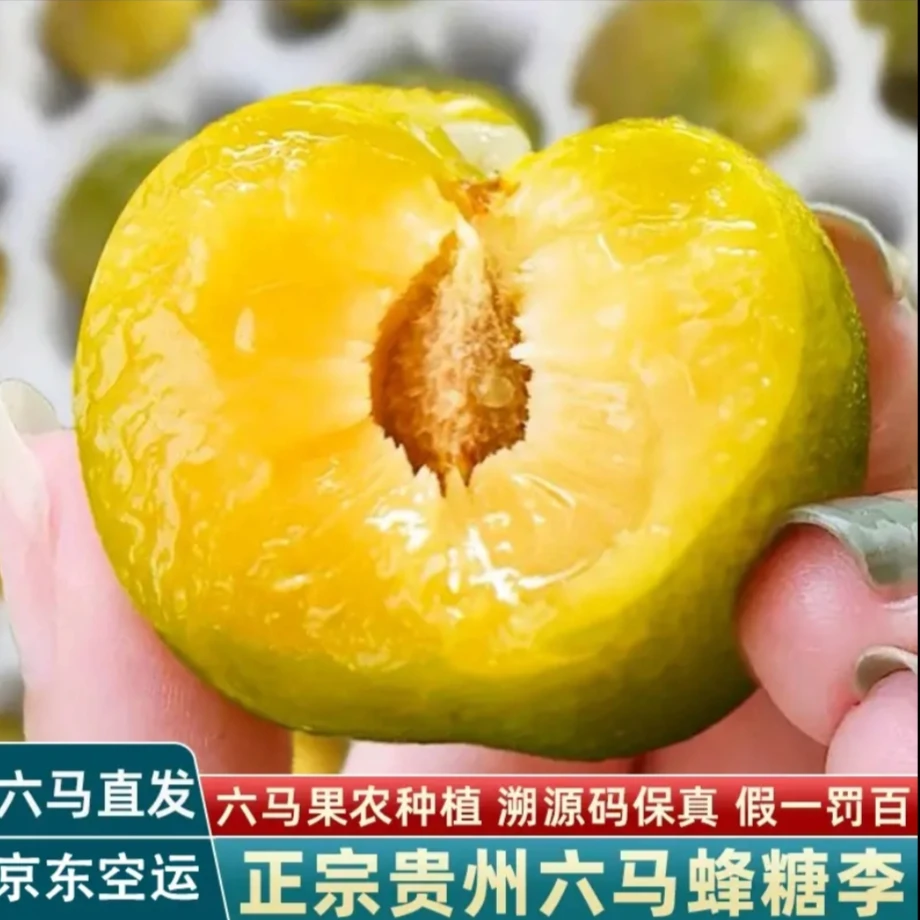 正宗贵州六马蜂糖李新鲜脆甜脱骨蜂糖李当季水果果园现摘现发大果贵州省