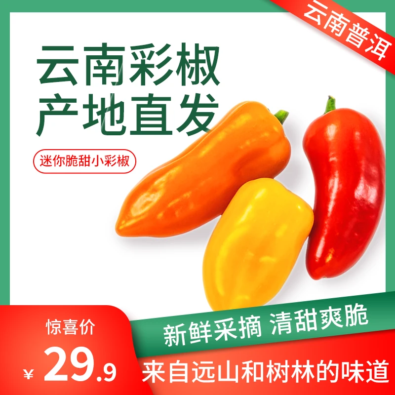 【云南普洱】三色QQ小彩椒水果迷你辣椒彩椒生吃脆甜新鲜产地直发