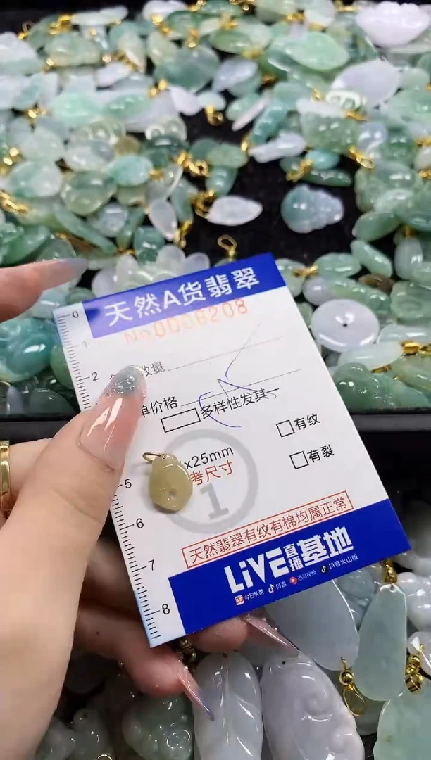 颈饰未镶嵌翡翠天然A货翡翠