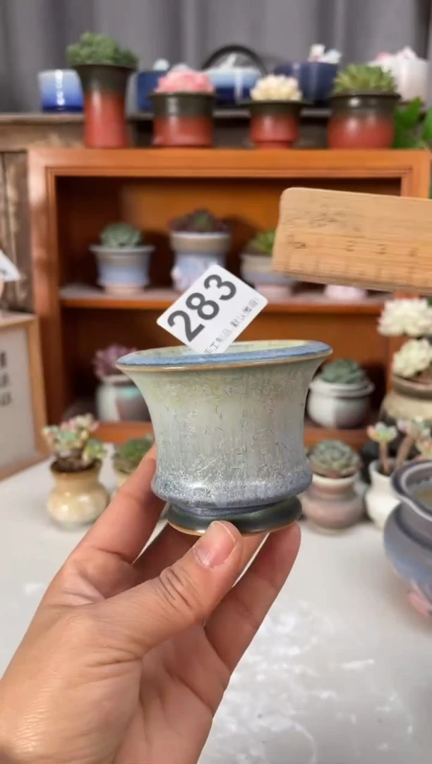 瓷片283小芳直播编号