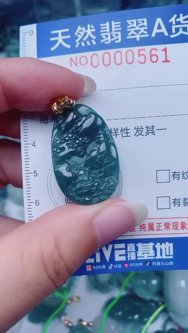 颈饰未镶嵌翡翠00000561