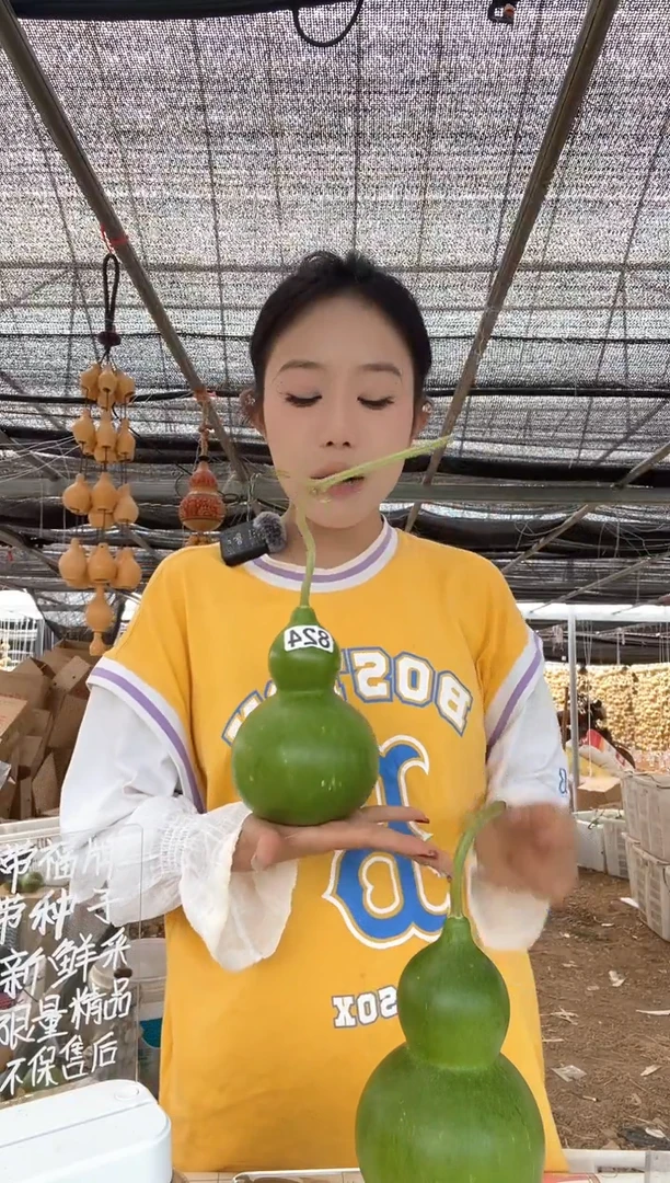 824天然葫芦摆件 一物一拍龙头不保售后