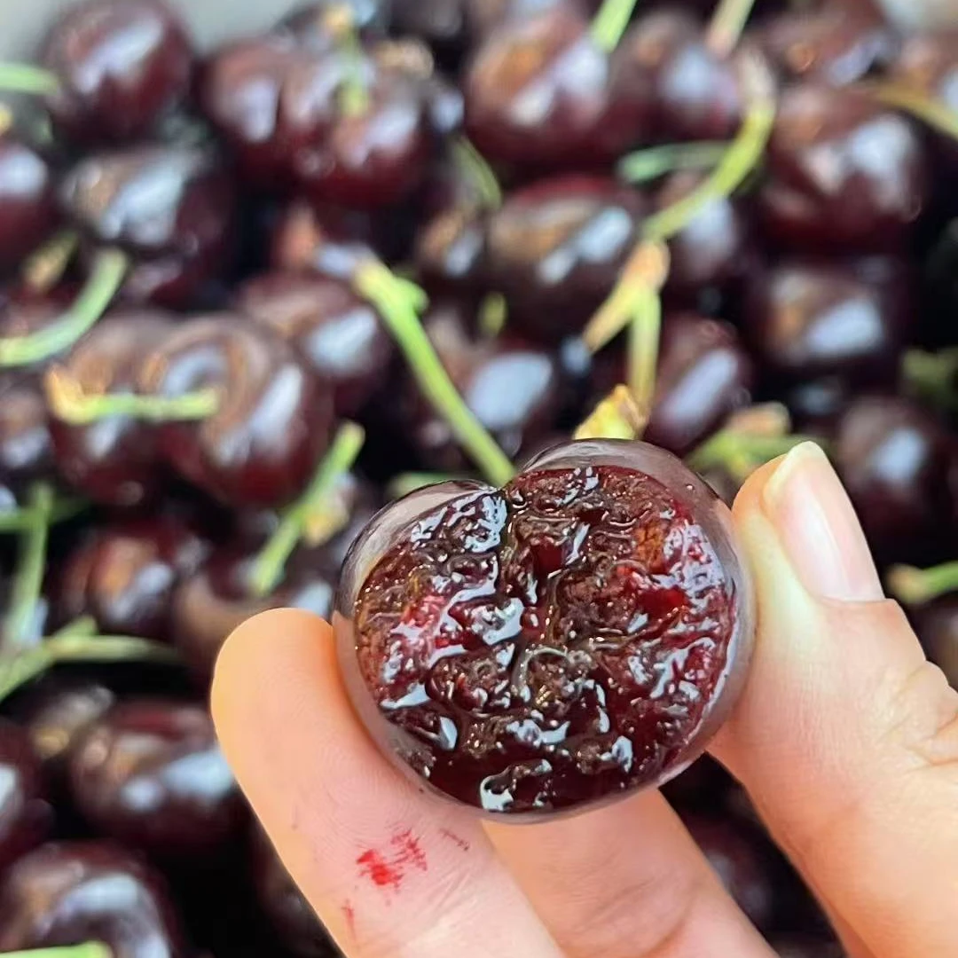 【5斤原箱】智利进口桑提娜海运车厘子2J/3JD内附果径卡顺丰