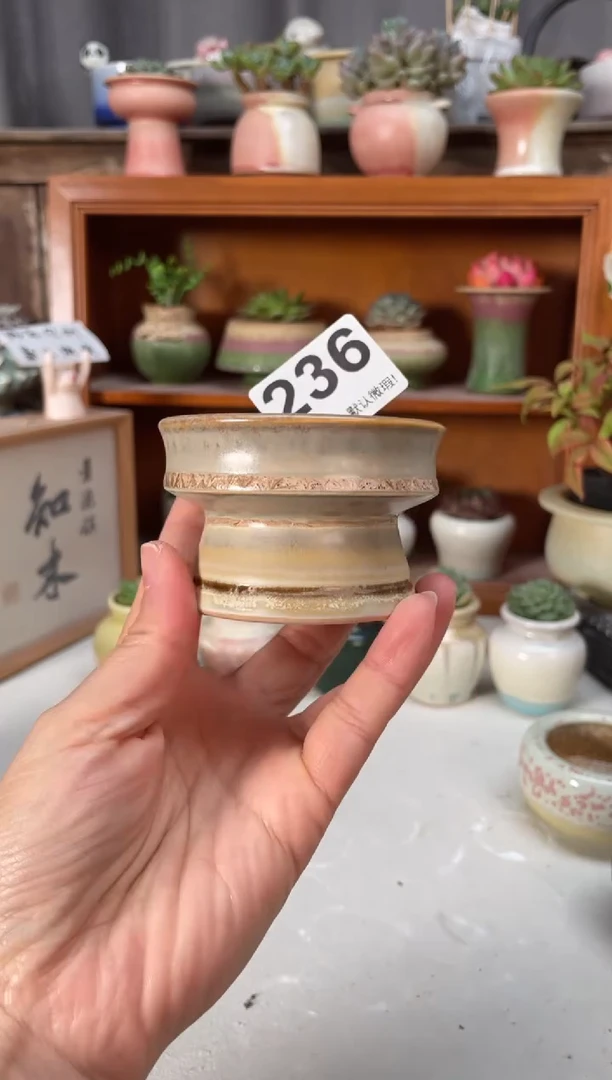 瓷片236小芳直播编号
