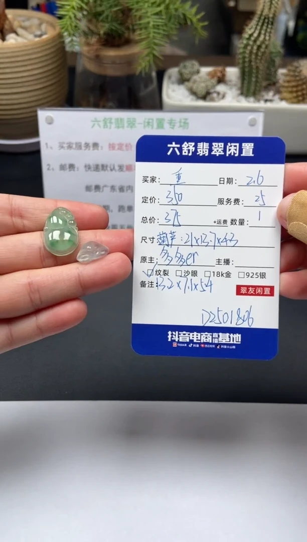 【闪购商品】翡翠颈饰未镶嵌D2501806