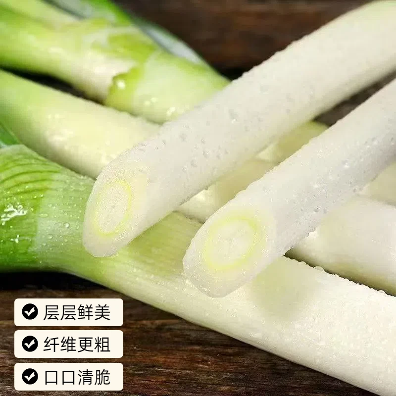 整箱5斤大葱去半叶新鲜大葱山东安丘铁杆大葱生鲜速发