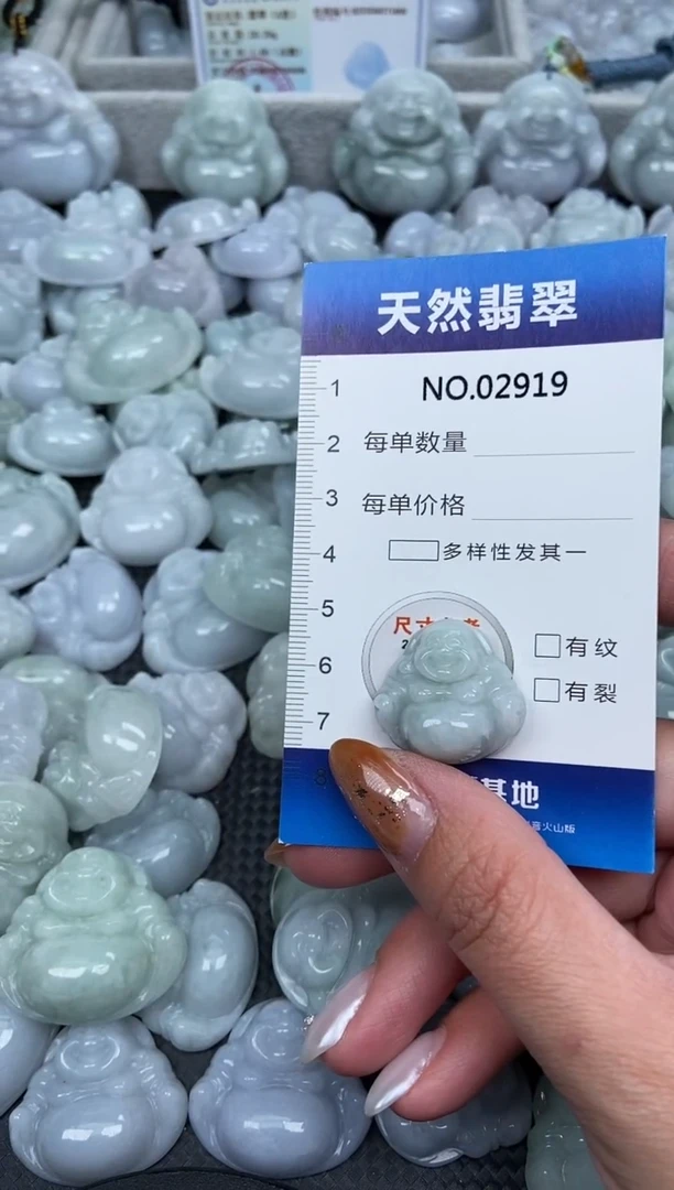 颈饰未镶嵌翡翠纯天然A货翡翠2919