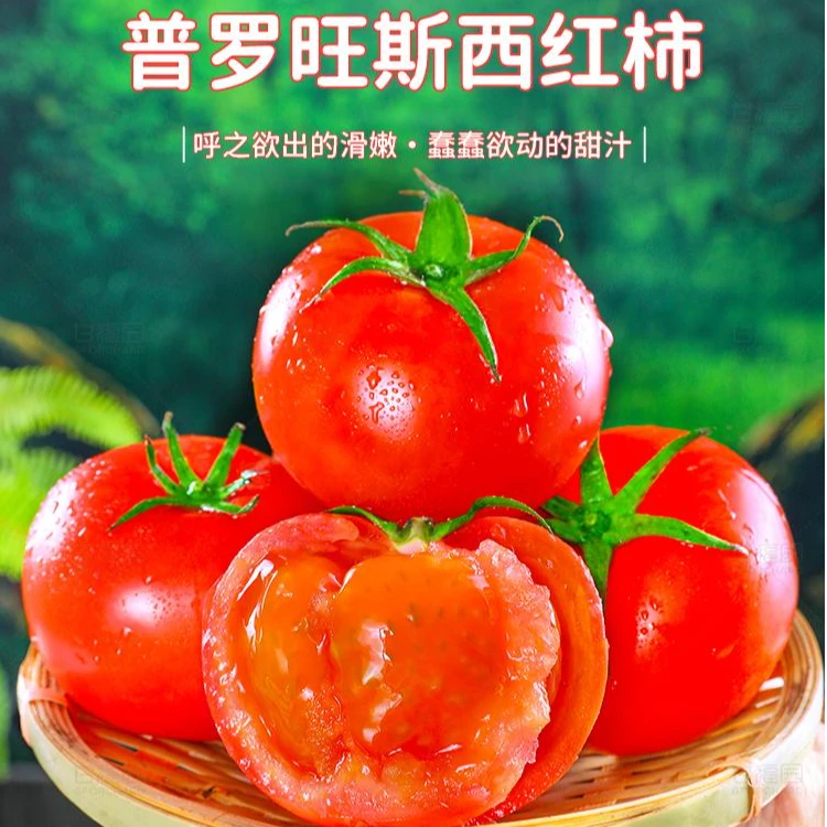【京东包邮】普罗旺斯西红柿2-5斤生吃沙瓤番茄草莓柿子新鲜蔬菜
