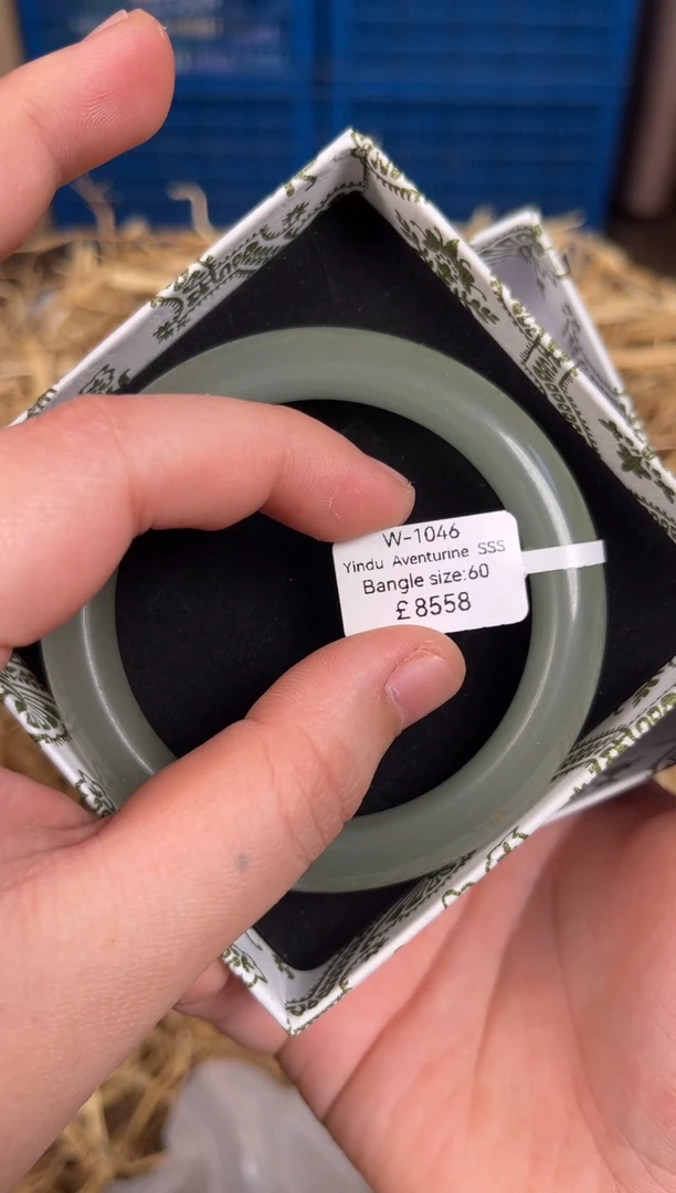 未镶嵌手镯石英质玉W1046