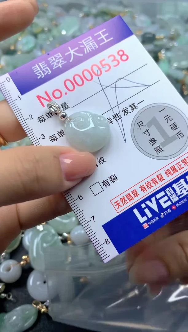颈饰未镶嵌翡翠538