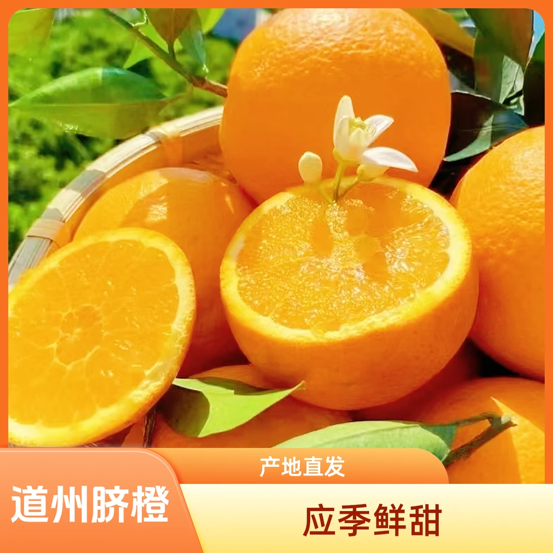 正宗道州脐橙当季新鲜多汁橙子中大果产地直发新鲜度高果肉饱满
