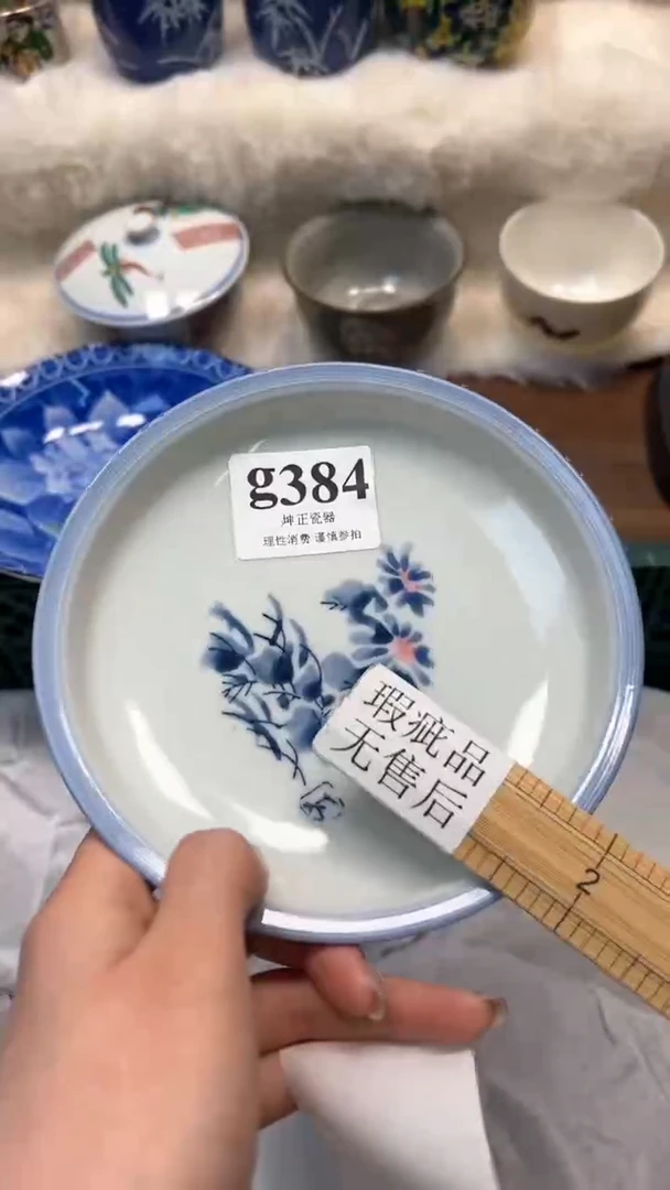 【闪购商品】瓷片          g384