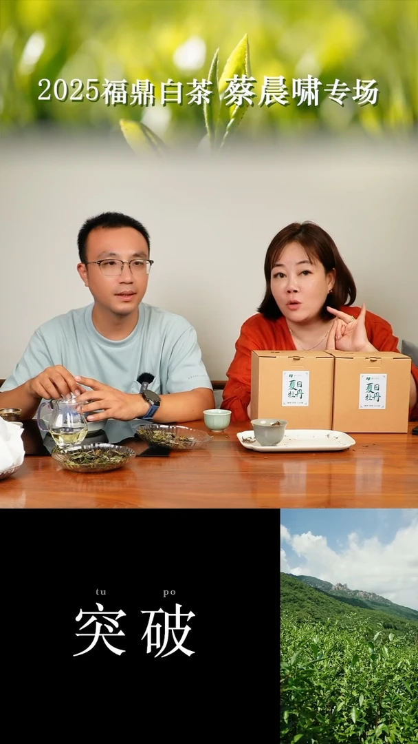 茶壶紫砂蔡晨啸 2025夏日牡丹（6月）半斤一箱