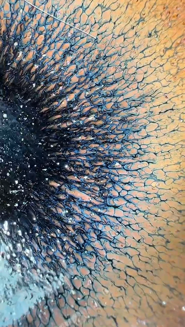 茶盏老表精选柴烧69