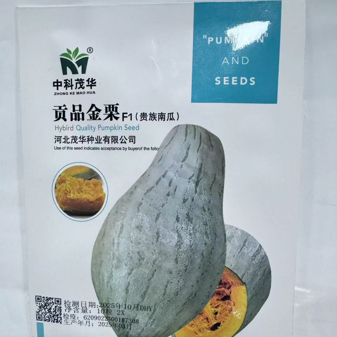 贡品金栗南瓜种子干甜干面室外浓香型冰糖蛋黄香南瓜种子