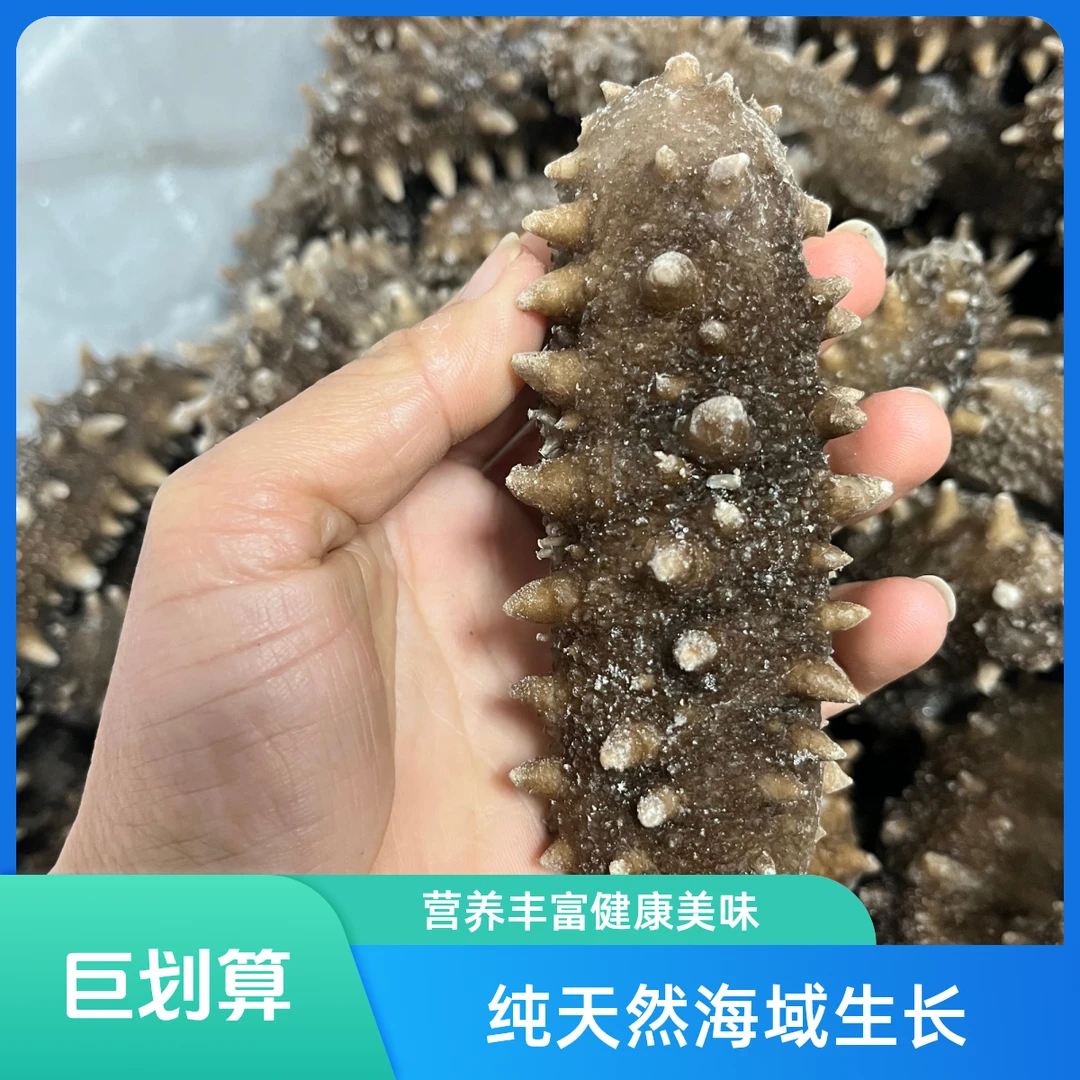 山东即食海参1斤顺丰包邮精品海鲜