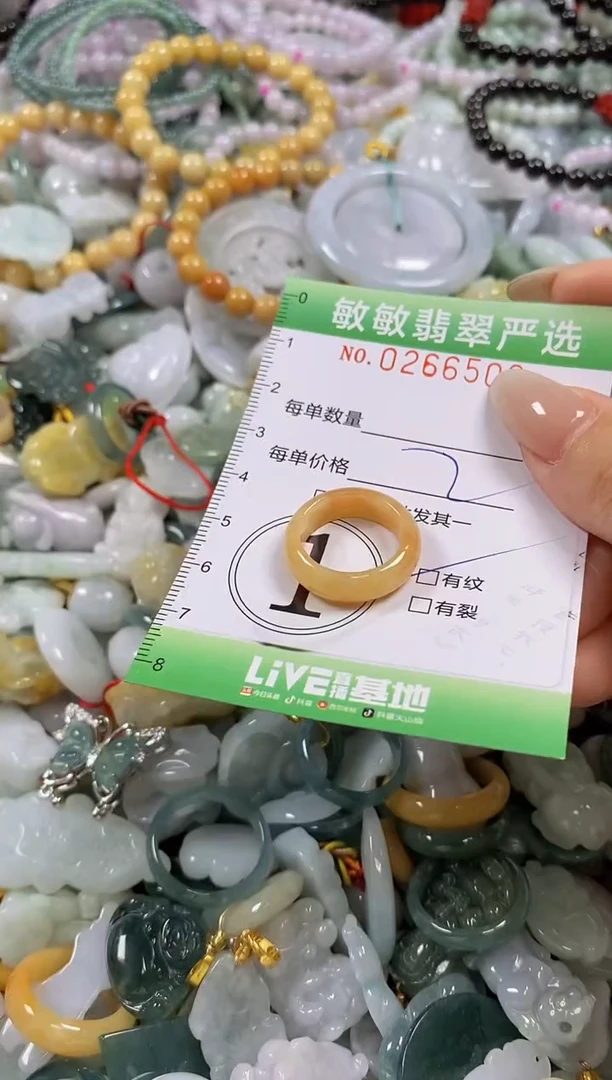 翡翠未镶嵌颈饰闪购0266506