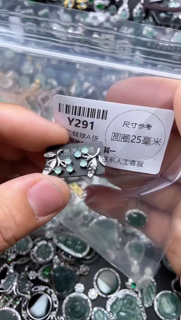 【闪购商品】翡翠颈饰未镶嵌Y291耳钉