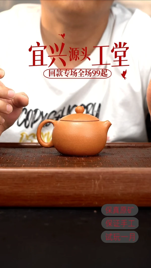 茶壶紫砂LCC金降坡西施