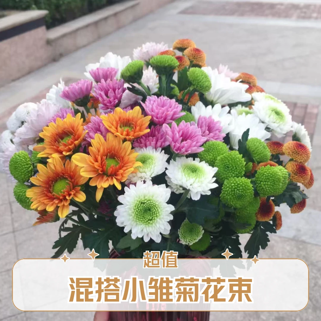 ❤特价【5支混搭小雏菊】～全店满35元包邮～《今天下单明天到》家庭生活鲜花北京天津河北次日达