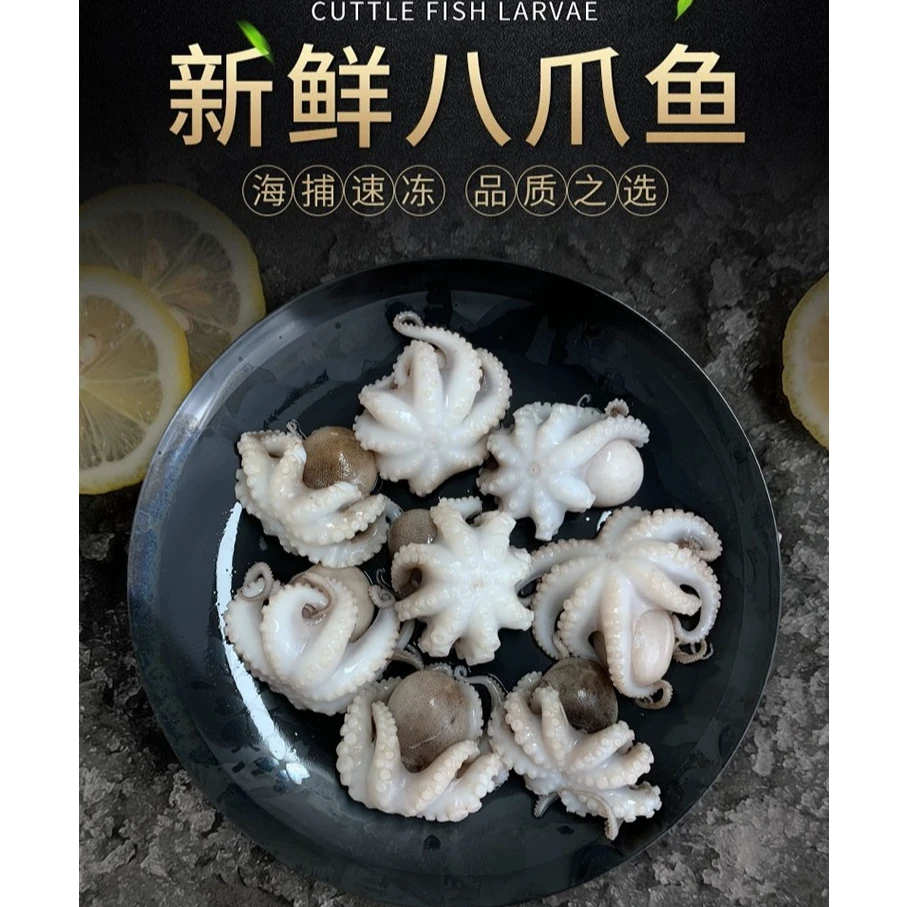 新鲜八爪鱼鲜活冷冻小章鱼短腿八爪鱼25.9元/410g/包