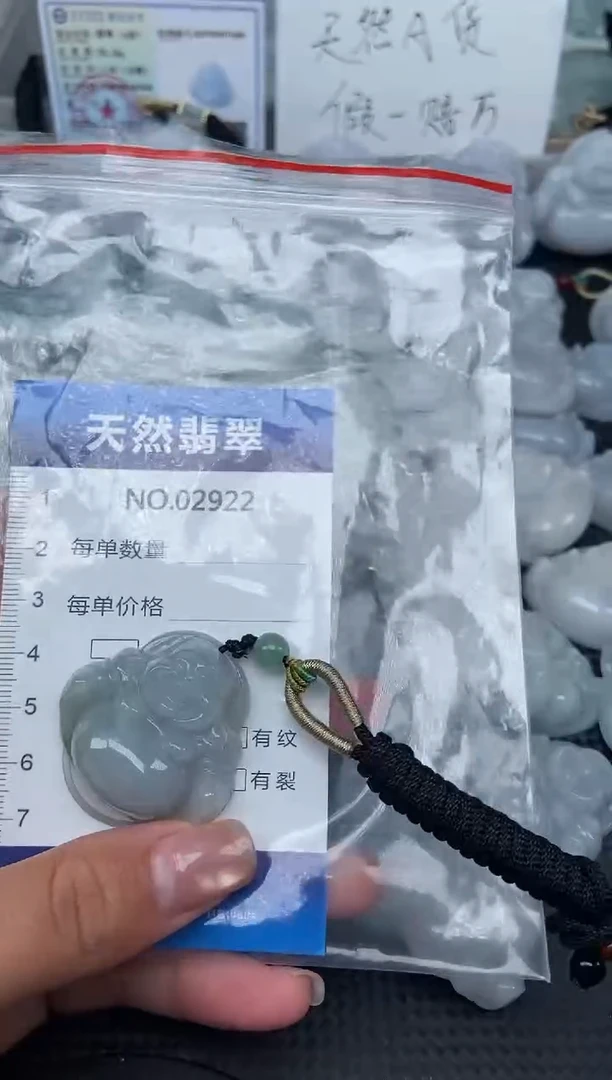 颈饰未镶嵌翡翠纯天然A货翡翠2922