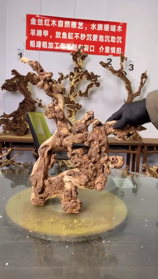【闪购商品】香榧木枯树摆件 粗磨粗加工半成品 毛料