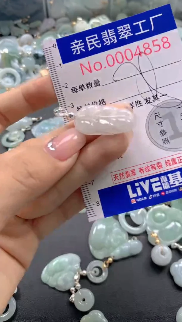 颈饰未镶嵌翡翠4858
