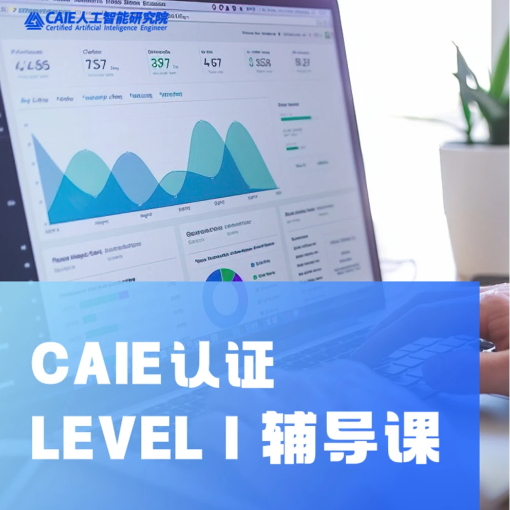 CAIE 认证 LEVEL 1 辅导课