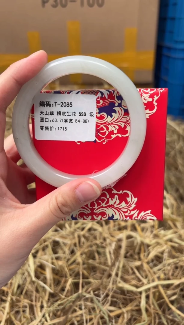 未镶嵌手镯石英质玉T-2085