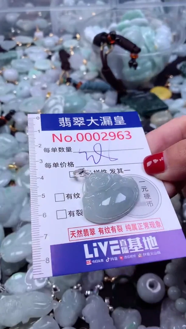 颈饰未镶嵌翡翠2963