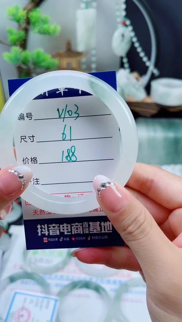 未镶嵌手镯石英质玉（天山翠）103