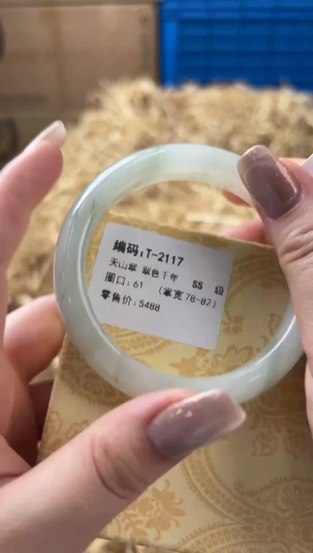未镶嵌手镯石英质玉T-2117