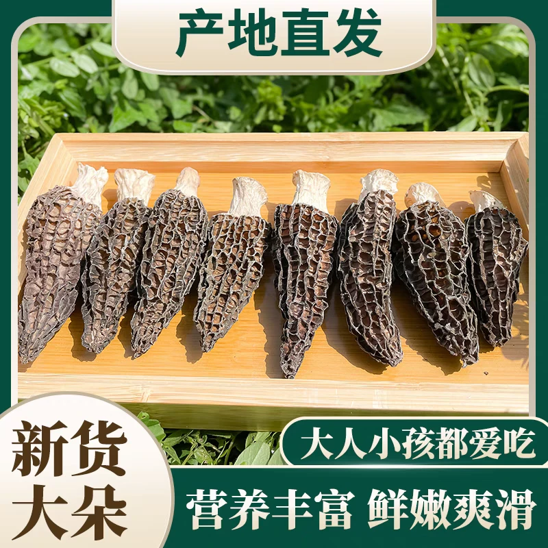 【当季干货】羊肚菌干货精选羊肚菌菇肉质肥厚菌菇煲汤1-wft-鸿升顺