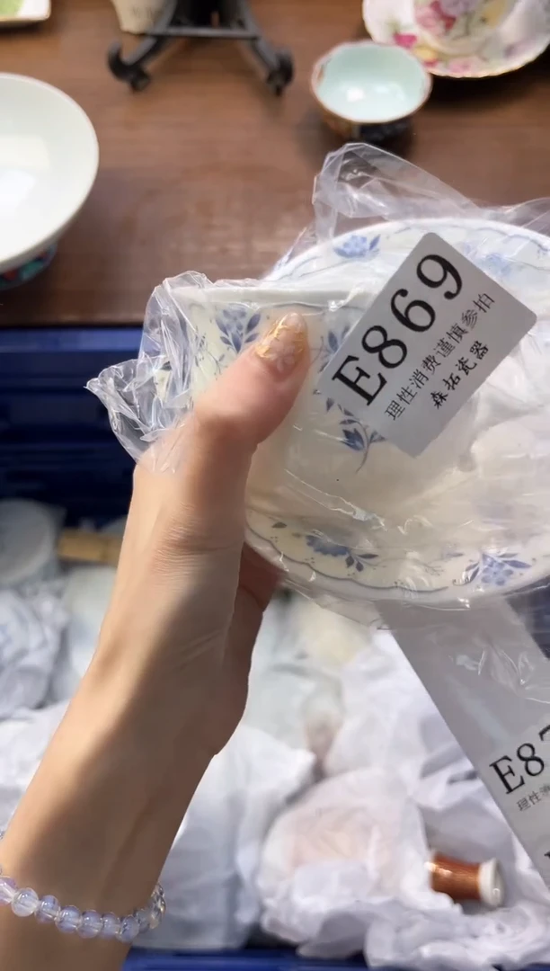 【闪购商品】瓷片----------E869