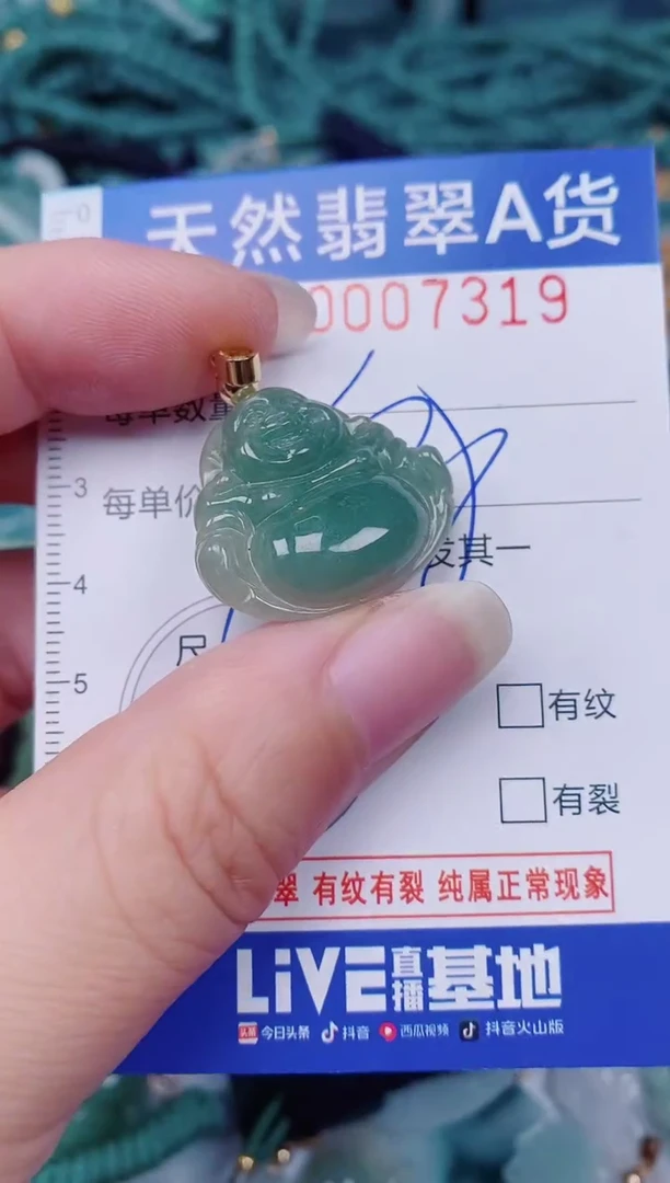 颈饰未镶嵌翡翠00007319