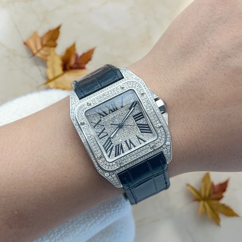 95新 Cartier/卡地亚 大号山度士W20073X8/后镶满天星/自动机械