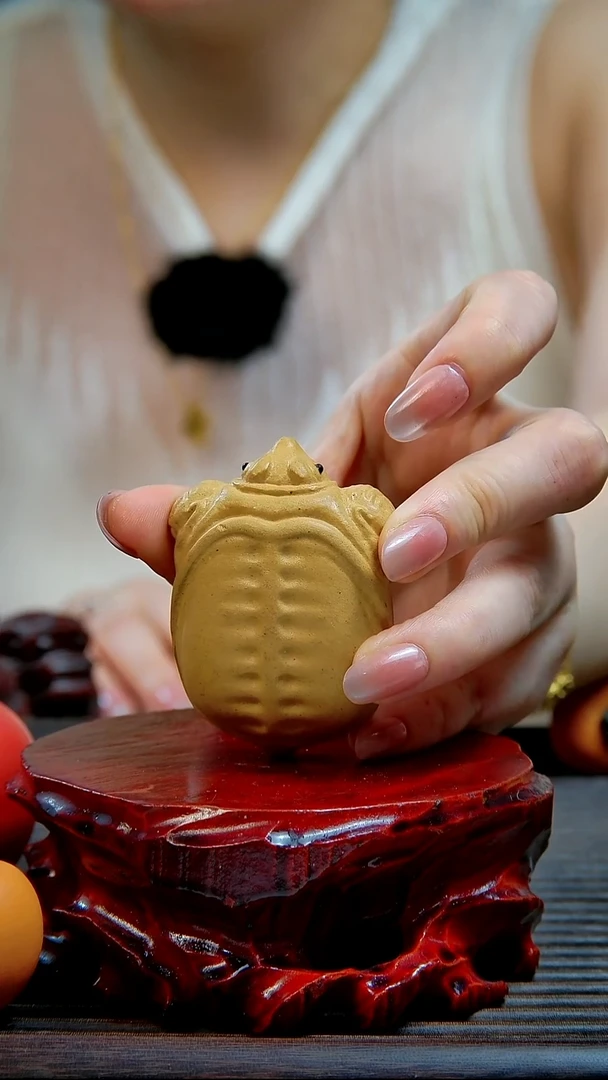 紫砂宜兴紫砂甲鱼黄段