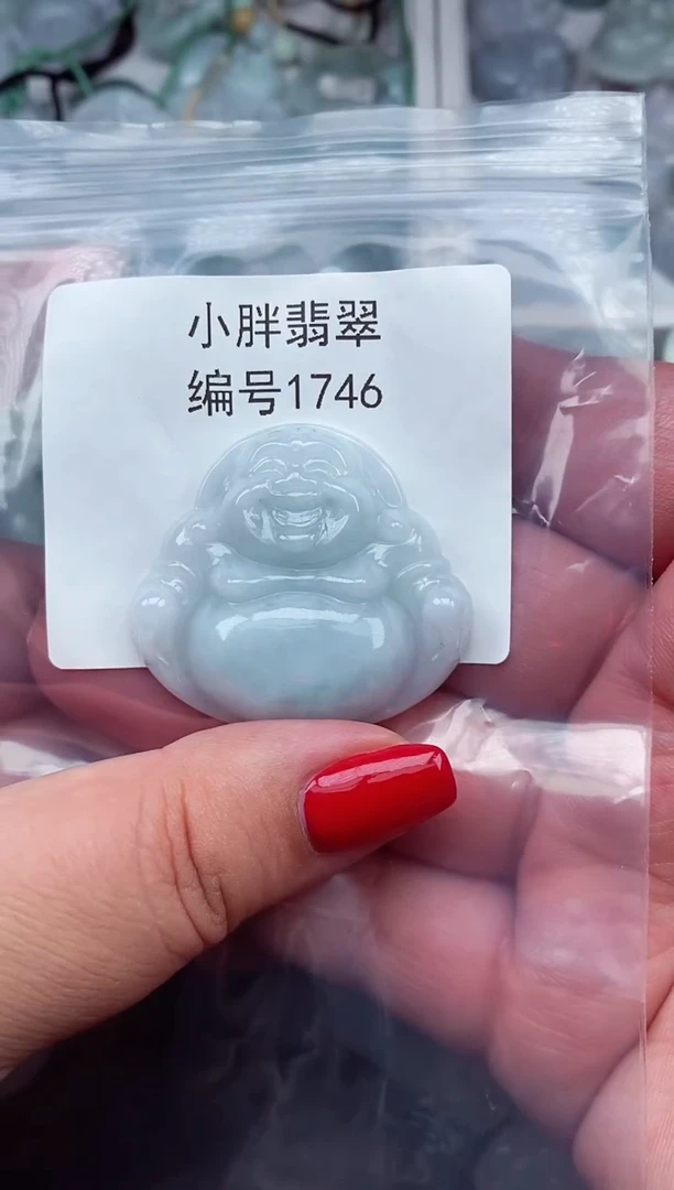 颈饰未镶嵌翡翠缅甸天然A货翡翠1746