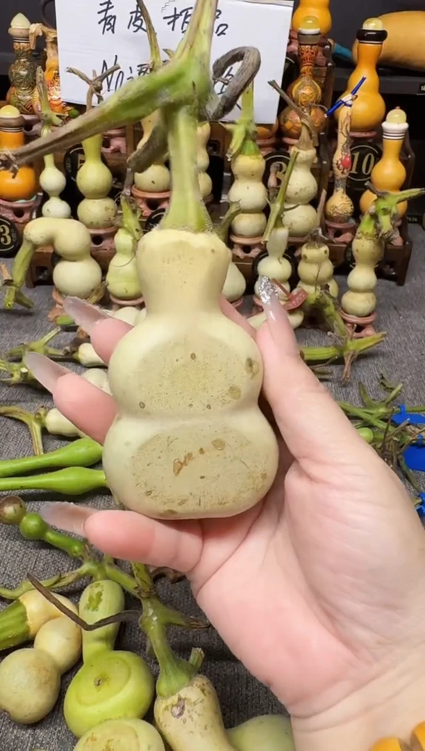 龙***了高端葫芦高端客户