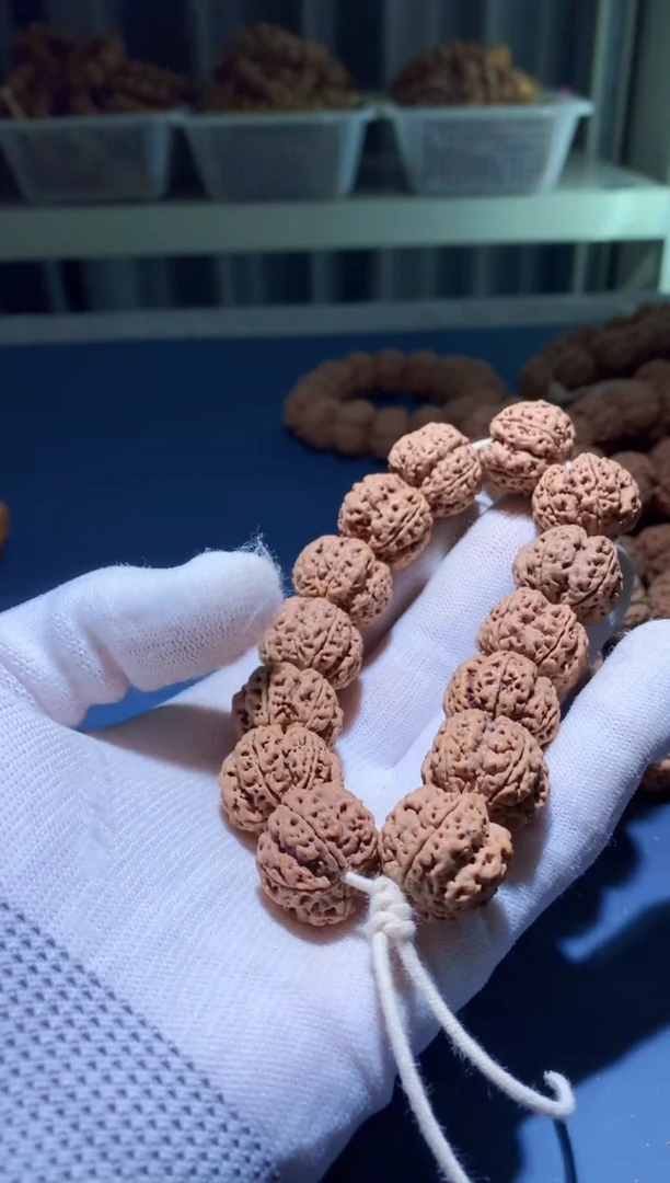 手串金刚菩提M000000532