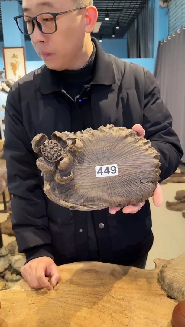 木449号乌木金丝楠壶承